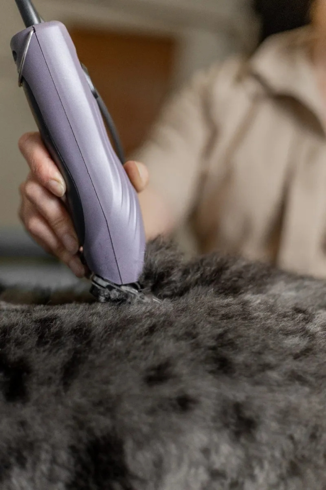 Машинка для стрижки животных Wahl KM10+ 3027127